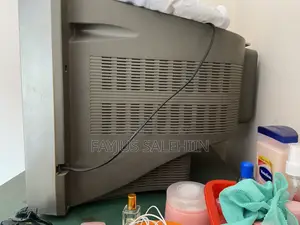 ফ্ল্যাট সিঙ্গার টিভি