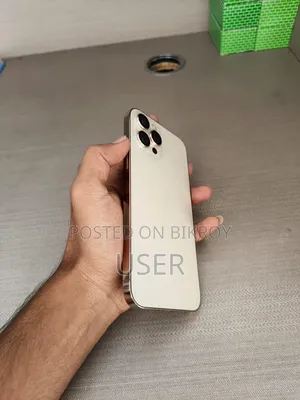 Apple iPhone 12 Pro Max 256 GB Gray
