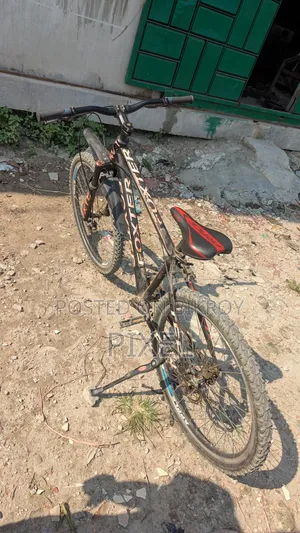 Best Buycycle