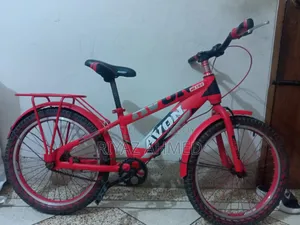 20 Inch Cycle