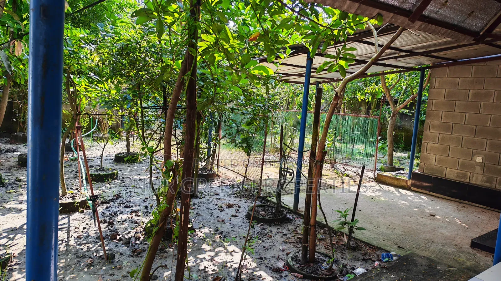 5 katha south-facing plot with a Bengali-style house built in Sector 8 for sale