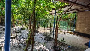 5 katha south-facing plot with a Bengali-style house built in Sector 8 for sale