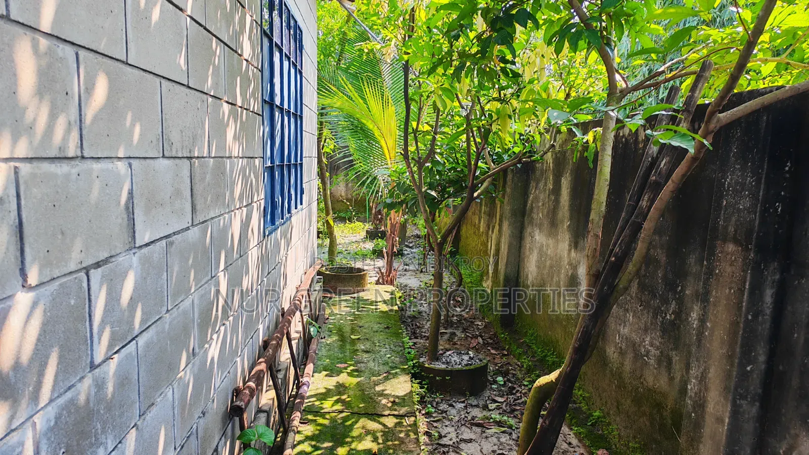 5 katha south-facing plot with a Bengali-style house built in Sector 8 for sale