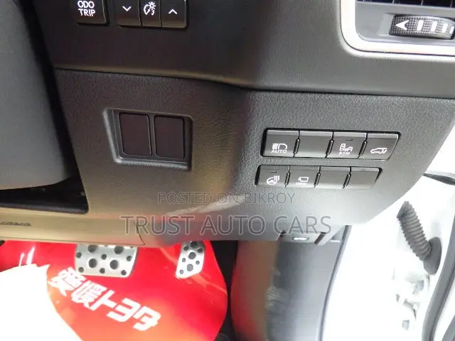 লেক্সাস এনএক্স ৩০০ এফডব্লিউডি ২০১৯ পার্ল
