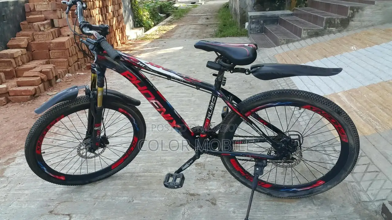 এই বাইসাইকেলটি দেখতে এখনো নতুনের মতো লাগে