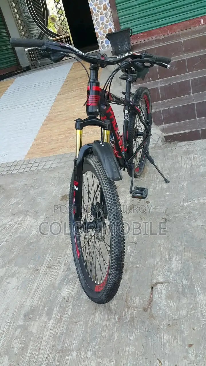 এই বাইসাইকেলটি দেখতে এখনো নতুনের মতো লাগে