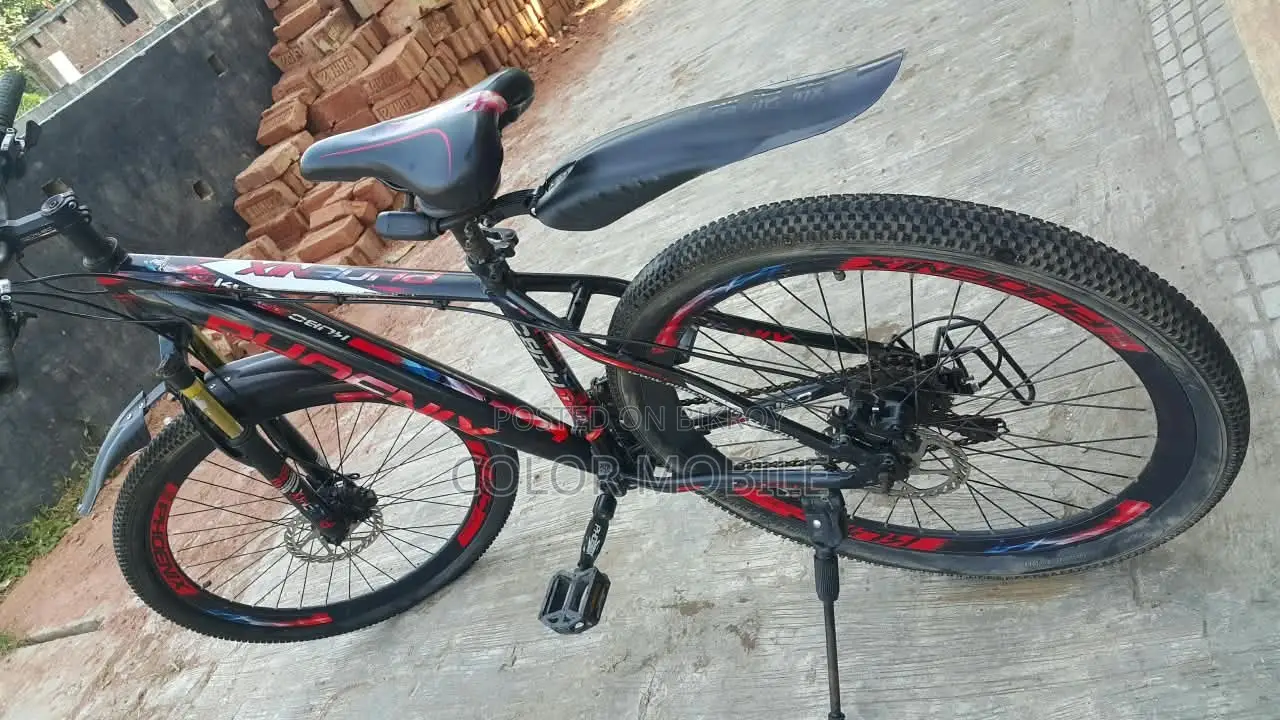 এই বাইসাইকেলটি দেখতে এখনো নতুনের মতো লাগে