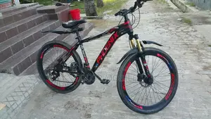 এই বাইসাইকেলটি দেখতে এখনো নতুনের মতো লাগে
