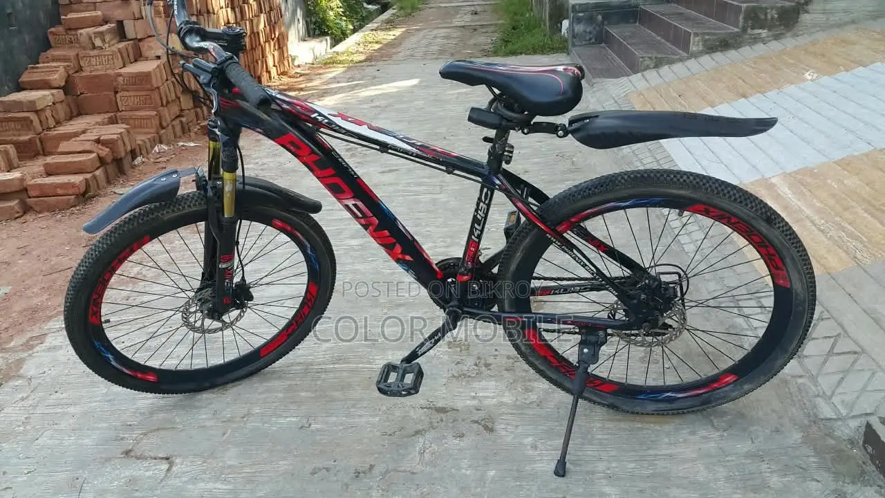 এই বাইসাইকেলটি দেখতে এখনো নতুনের মতো লাগে
