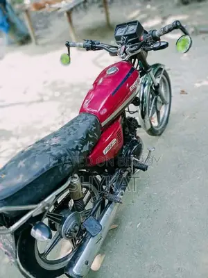 দায়ুন ডিওয়াই১০০-এ ২০২০ লাল
