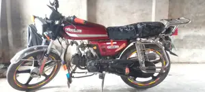দায়ুন ডিওয়াই১০০-এ ২০২০ লাল