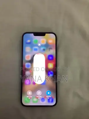 অ্যাপল আইফোন ১৩ প্রো ম্যাক্স ২৫৬ জিবি গ্রে