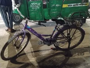 দুরন্ত লেডিস সাইকেল