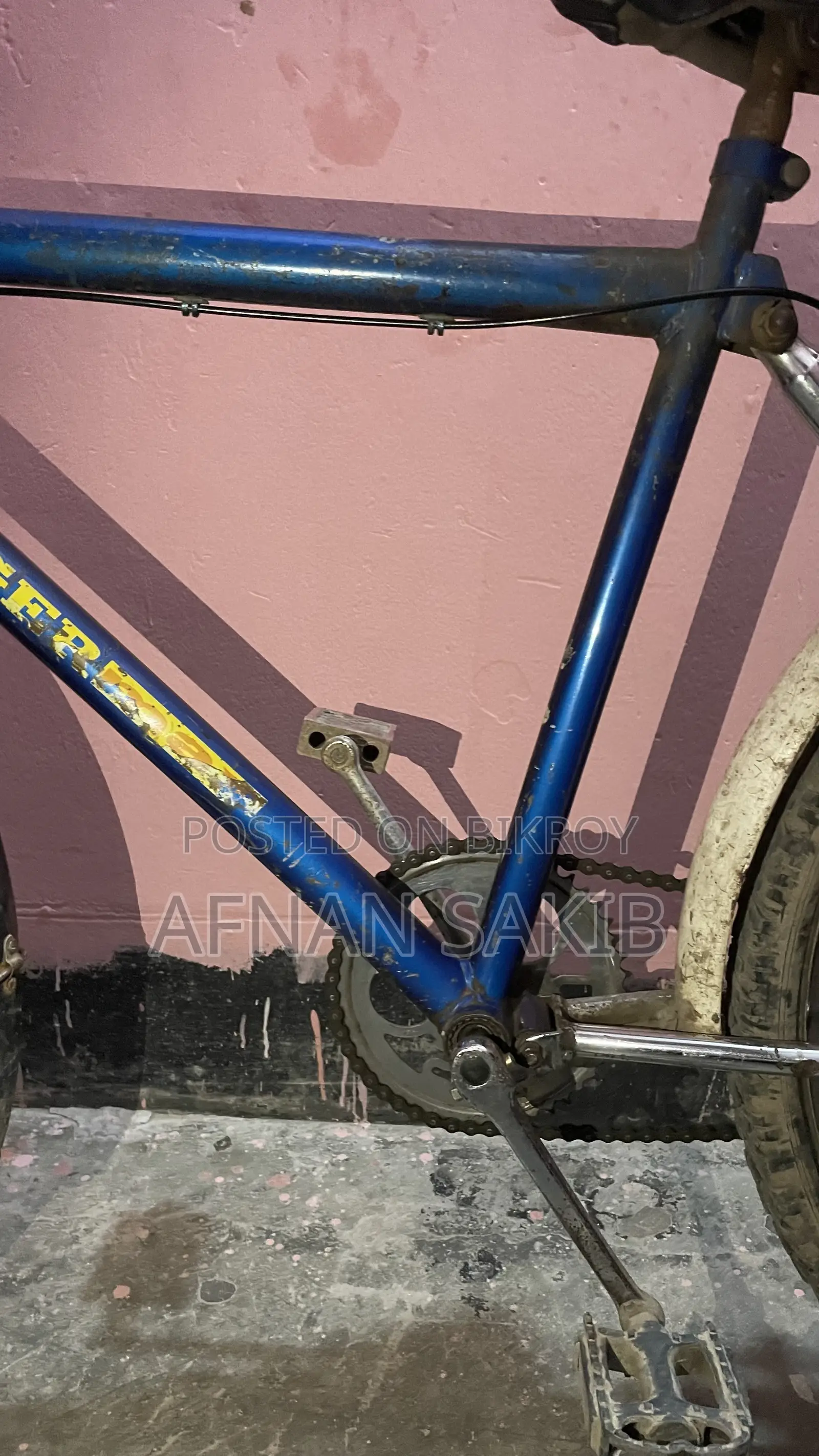 Ranger Maxx Cycle