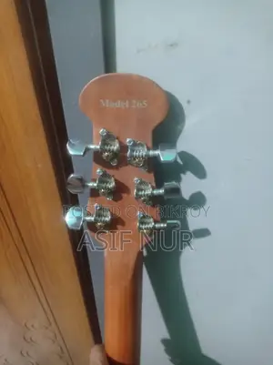 Full Fresh Indian Signature Guitar