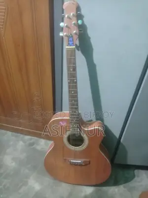 ফুল ফ্রেশ ইন্ডিয়ান সিগনেচার গিটার