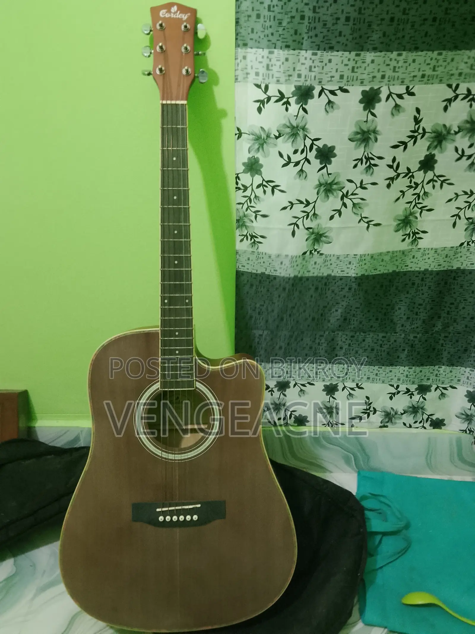 অ্যাকোস্টিক গিটার