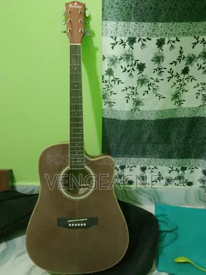 অ্যাকোস্টিক গিটার