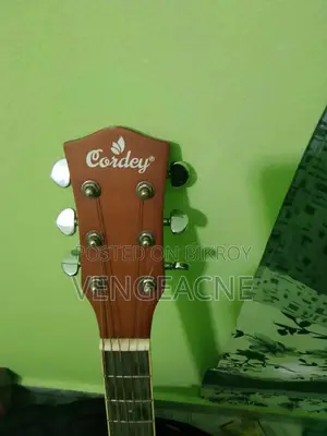 অ্যাকোস্টিক গিটার