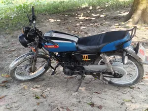 দায়াং ডিওয়াই১২৫-২৮ ২০১৫ ব্লু
