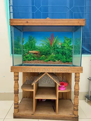 Aquarium for Sale - Water Pump Free!