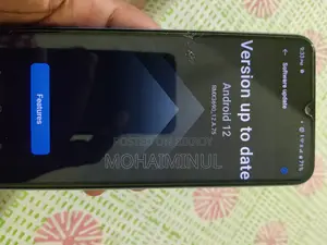 রিয়েলমি সি৩০এস ৬৪ জিবি ব্লু