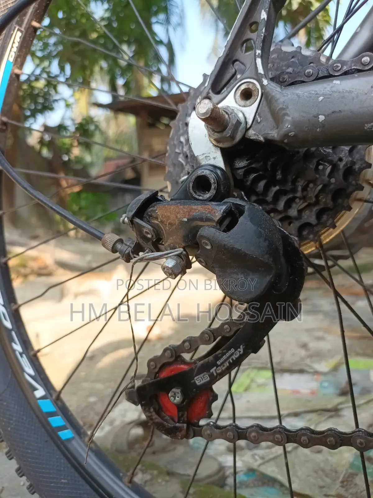 ভেলোজ লেগোছি,