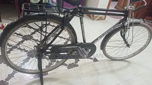 চালান হয় না তাই বিক্রি ক্তব ফুল নতুন