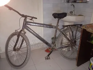 Non-Gear Cycle