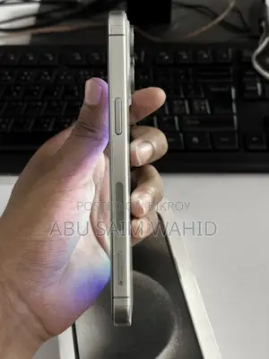 Apple iPhone 15 Pro Max 256 GB Gray
