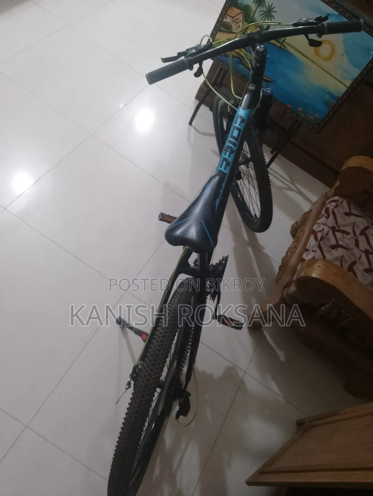 ভেলোসে ওয়ারিয়র ২.০ বাইসাইকেল নীল