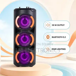 Vision Party Speaker VPS-65