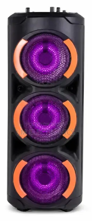 Vision Party Speaker VPS-65