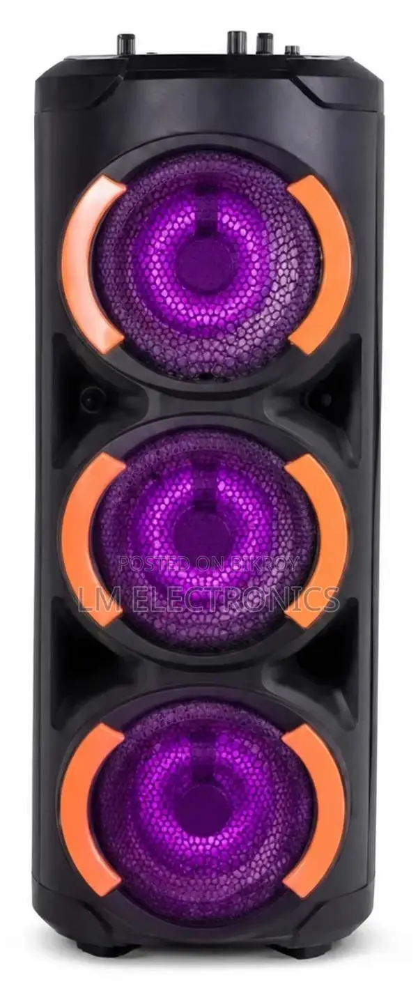 Vision Party Speaker VPS-65