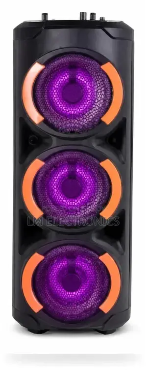 Vision Party Speaker VPS-65
