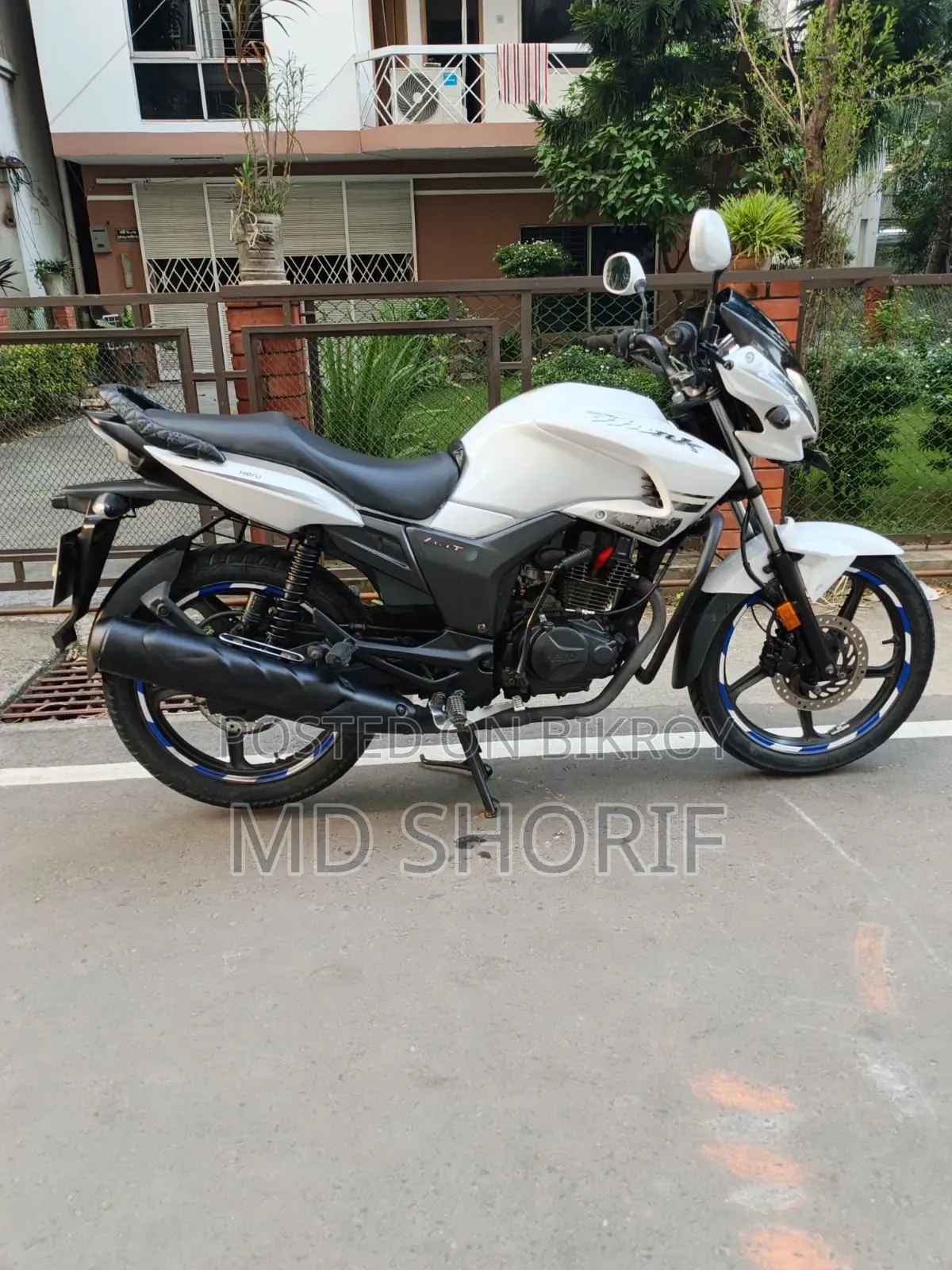 হিরো হাংক ২০১৯ সাদা