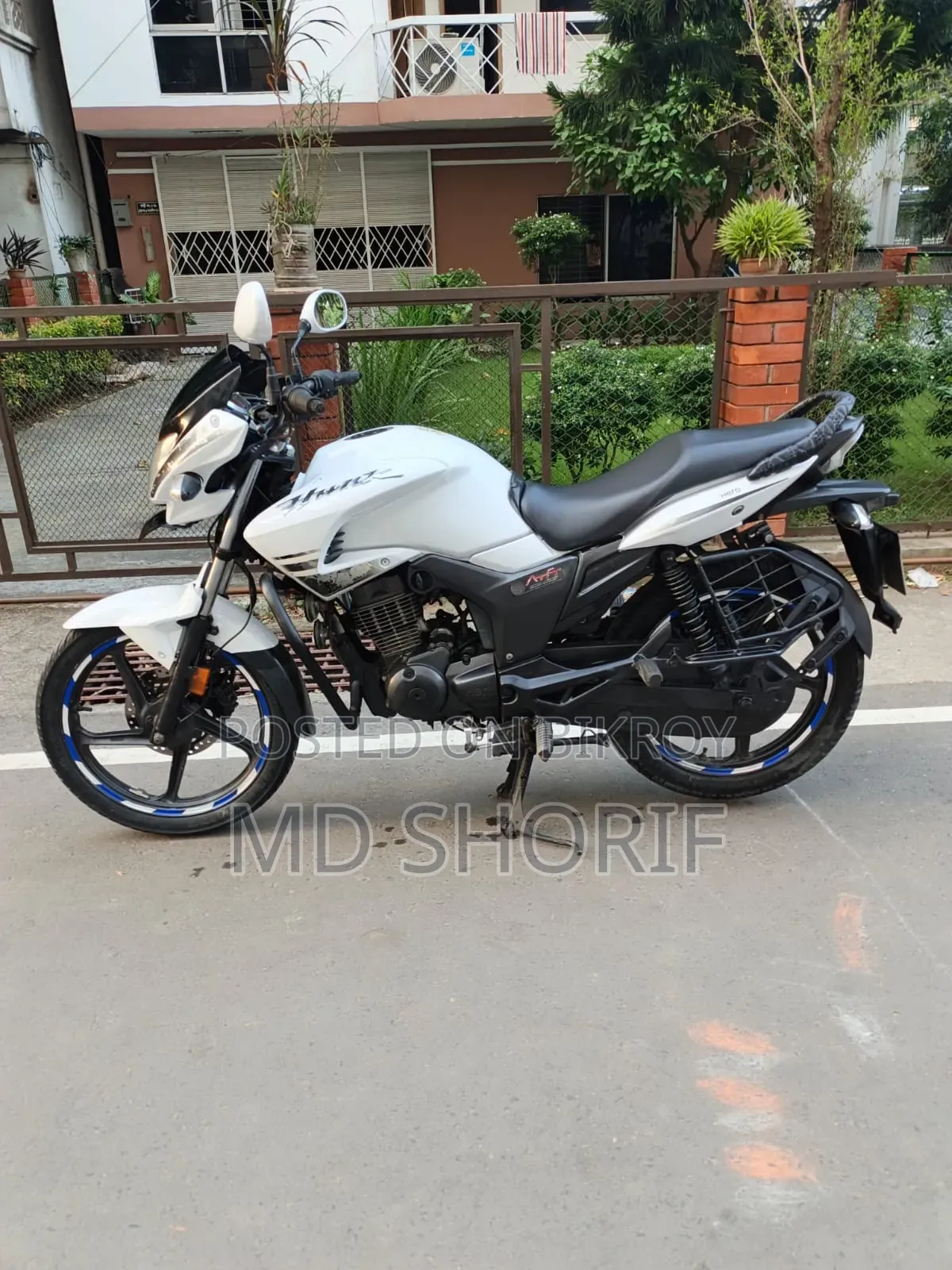 হিরো হাংক ২০১৯ সাদা