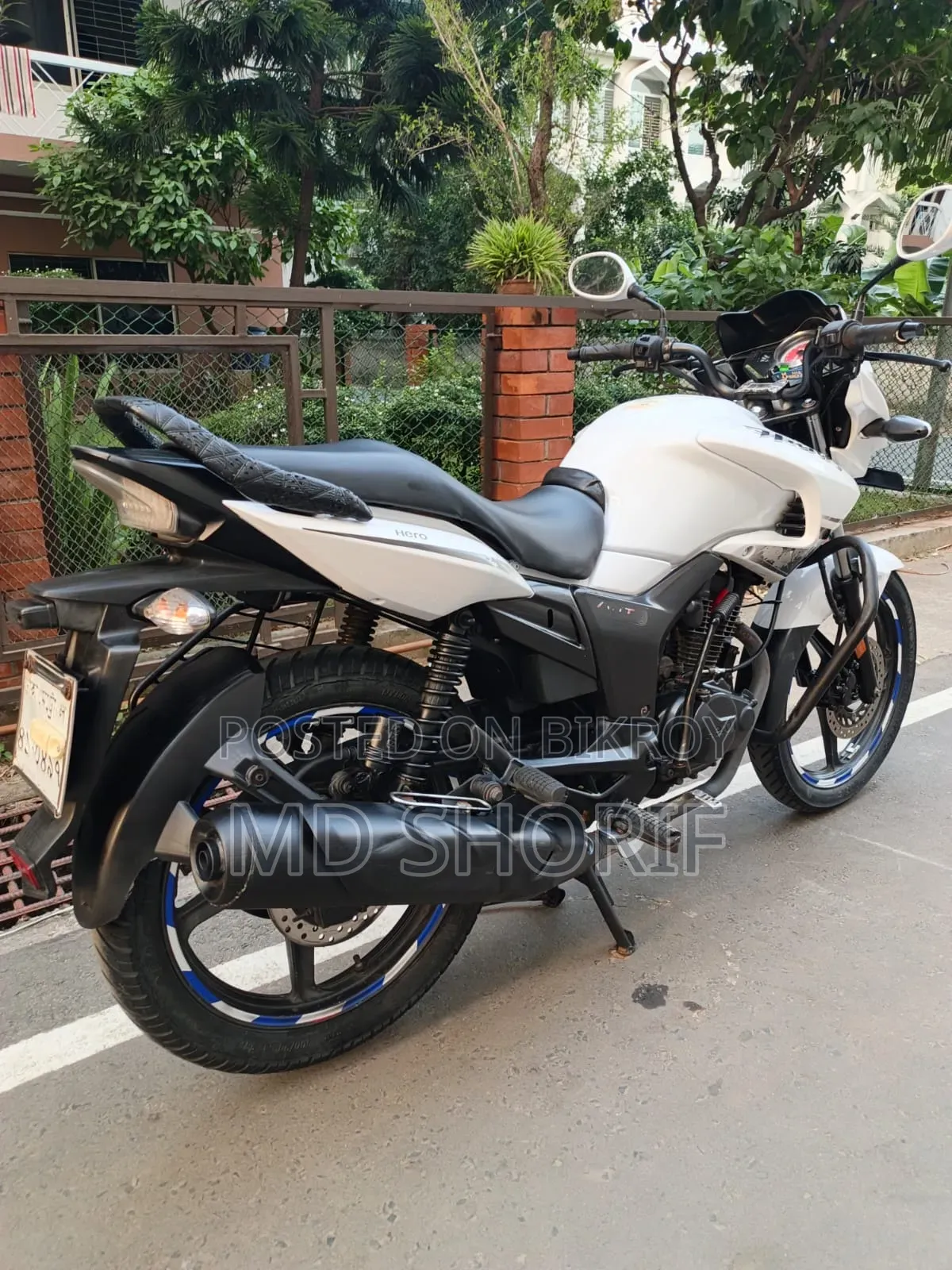 হিরো হাংক ২০১৯ সাদা