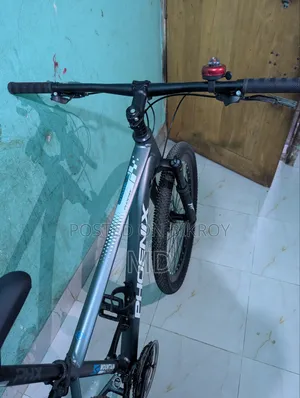 Phoenix Spark2 Full Aluminum Body