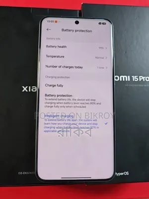 Xiaomi 15 Pro 256 GB Gray