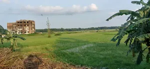 জমি বিক্রি হবে