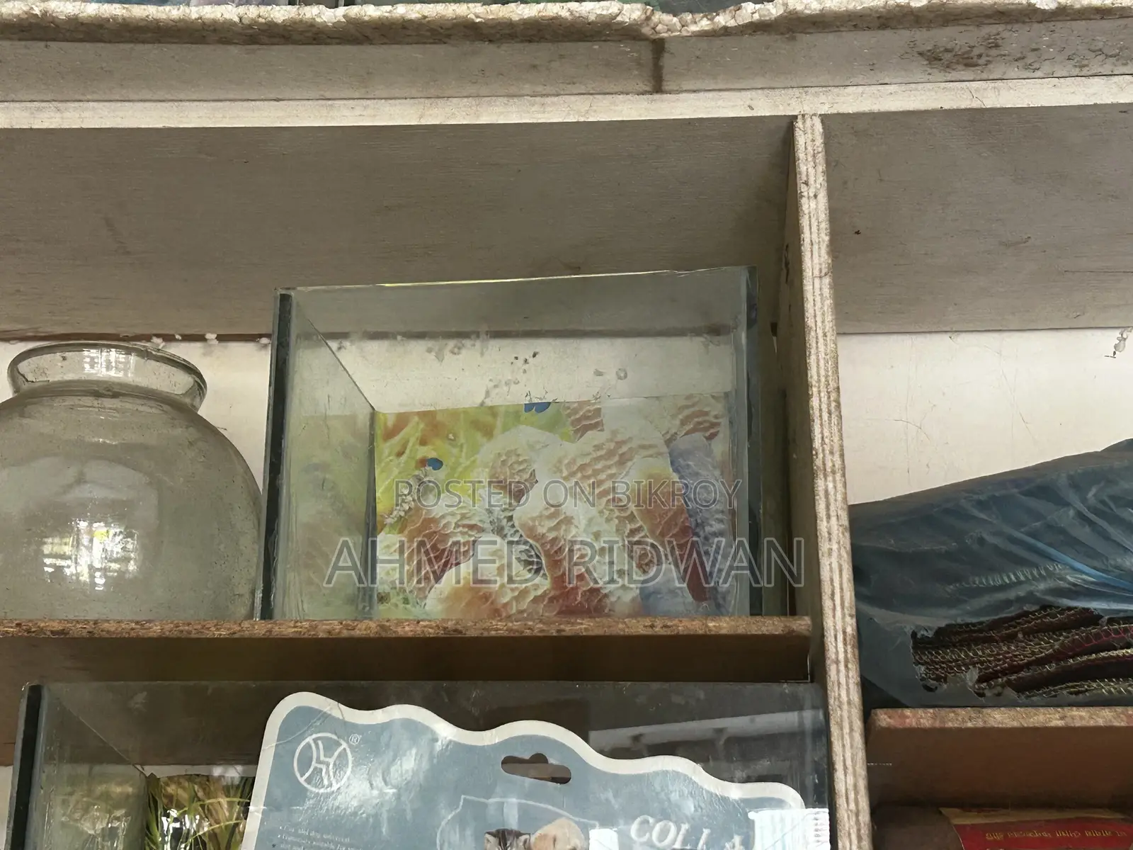12/9 Inch Aquarium