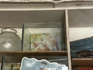 12/9 Inch Aquarium