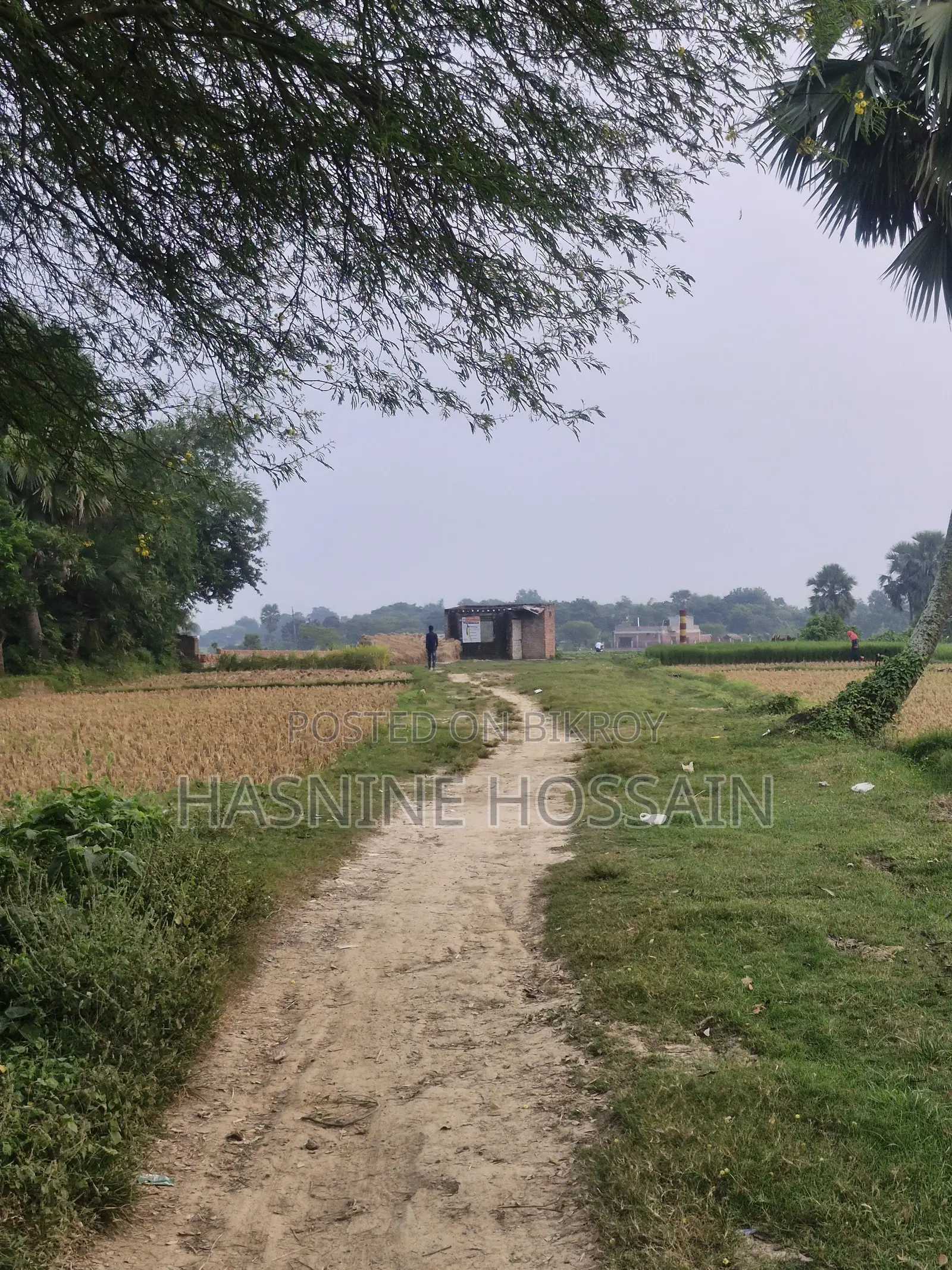 স্বল্পমূল্যে জরুরী ভিত্তিতে কিছু প্লট বিক্রি করা হবে