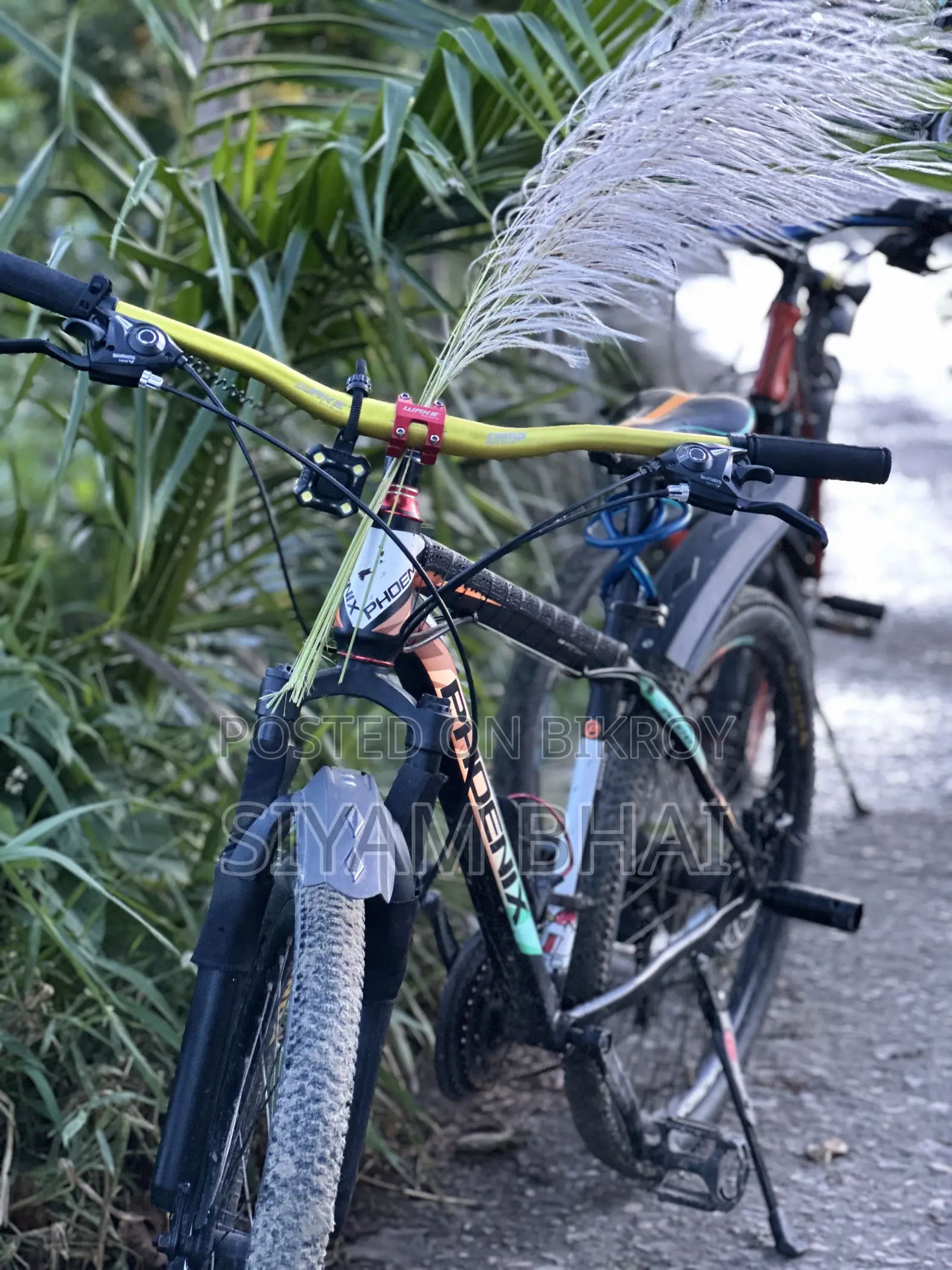Phoenix Cycle 26" Fresh Condition Modified, First Owner