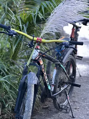 Phoenix Cycle 26" Fresh Condition Modified, First Owner