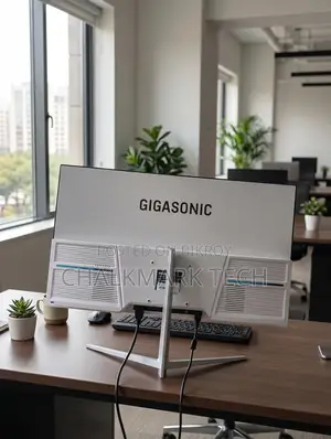 Gigasonic 21.5" FHD IPS 100Hz Frameless Monitor (ইনট্যাক্ট / বক্সড)