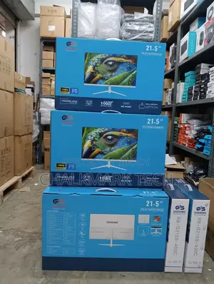 Gigasonic 21.5" FHD IPS 100Hz Frameless Monitor (ইনট্যাক্ট / বক্সড)