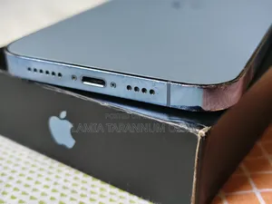 অ্যাপল আইফোন ১৩ প্রো ম্যাক্স ২৫৬ জিবি ব্লু