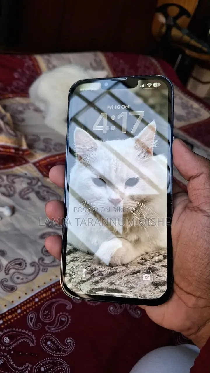 অ্যাপল আইফোন ১৩ প্রো ম্যাক্স ২৫৬ জিবি ব্লু